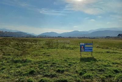 Teren de 10000 mp, în Tălmaciu - 1