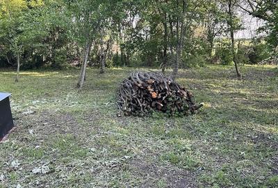 Casă cu Teren 12000 Mp în Chitila - 2