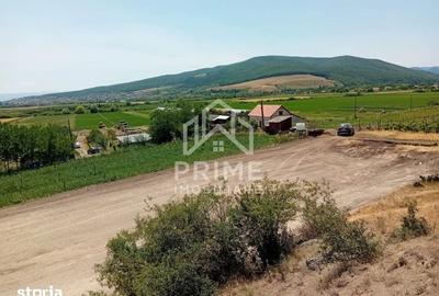 Teren de 2900 mp, în Ighiu