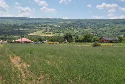 Teren de 800 mp, în Tomești