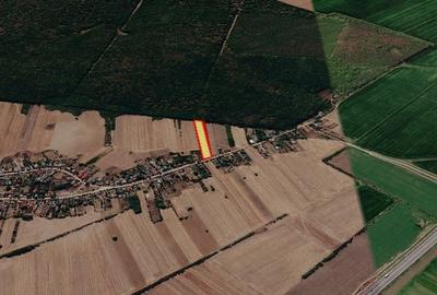 Teren de 8300 mp, în Gruiu - 7