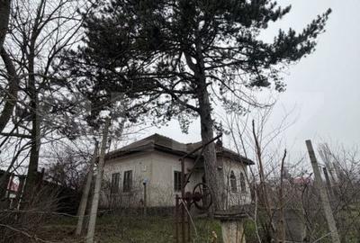 Casă cu 3 camere cu Teren 2714 Mp în Dobrești - 5
