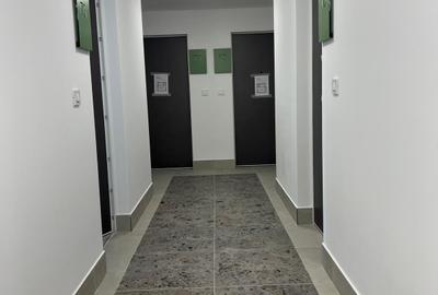 Apartament cu 2 camere în Podu Roș - 11