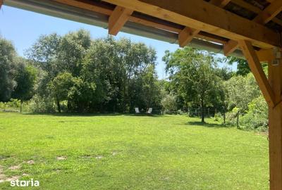 Casă cu 2 camere decomandat cu Teren 1400 Mp în Vânători - 8