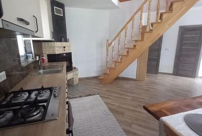 Casă cu 2 camere în Ipotești