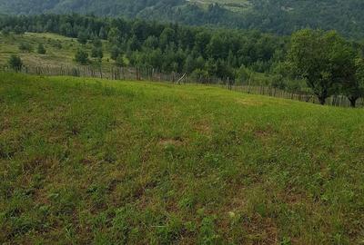 Teren de 2800 mp, în Talea - 2