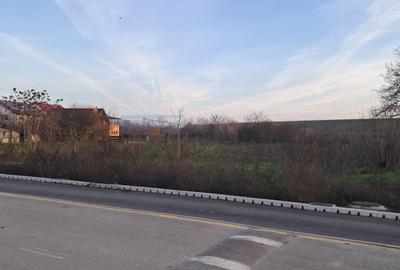 Teren intravilan de 2550 mp, în Cornetu - 2