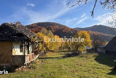 Teren de 7500 mp, în Sălătrucu