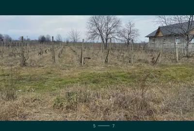 Teren de 1560 mp, în Central - 2