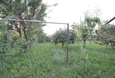 Casă individuală cu 7 camere cu Canalizare în Becicherecu Mic - 10