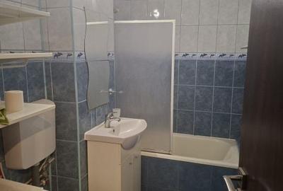 Garsonieră decomandată în Brazda lui Novac - 7
