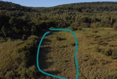 Teren de 5000 mp, în Micești - 10