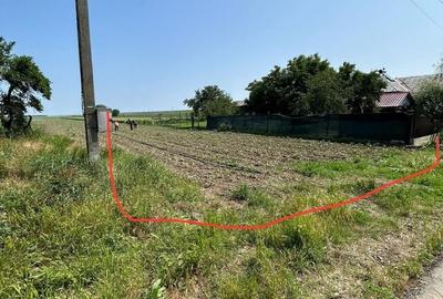 Teren de 2601 mp, în Grădinari - 6