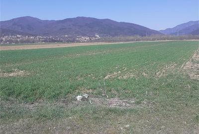 Teren de 2000 mp, în Jiblea Nouă
