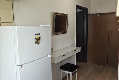 Garsonieră decomandată în Costin Georgian - 4
