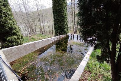 Casă cu 5 camere cu Teren 1600 Mp în Central