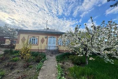 Casă cu Teren 522 Mp în Mănăstirea Doamnei