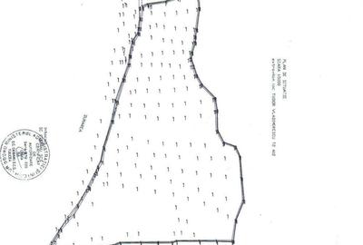 Teren de 12000 mp, în Tudor Vladimirescu - 4