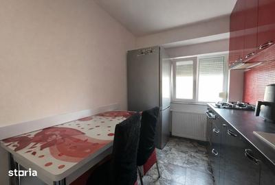 Apartament cu 2 camere decomandat, mobilat în Iosefin - 10