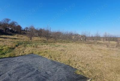 Teren de 3000 mp, în Boju - 4