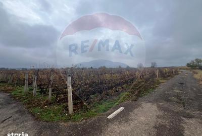Teren de 915 mp, în Cârligele