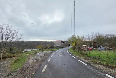 Teren de 16000 mp, în Brănești - 5