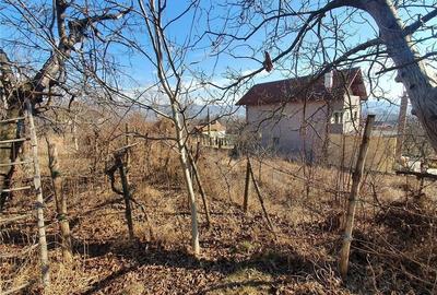 Casă cu 3 camere cu Teren 3077 Mp în Bogdănești (Oteșani) - 2