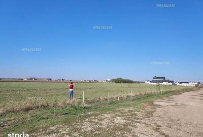 Teren de 300 mp, în Vidra