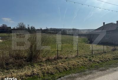 Casă cu 3 camere cu Teren 5000 Mp în Central