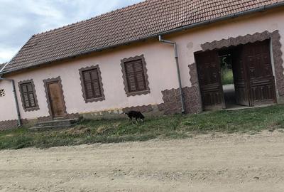 Casă cu Teren 1600 Mp în Secășeni