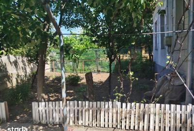 Casă cu 4 camere cu Teren 741 Mp în Podari - 6