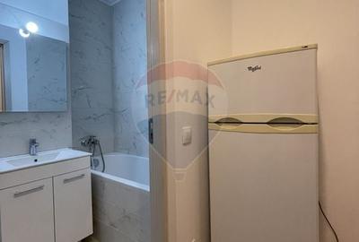 Garsonieră semidecomandată, mobilată în Mihai Bravu - 10
