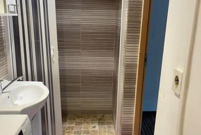 Casă individuală cu 2 camere cu Canalizare în Șagului - 3