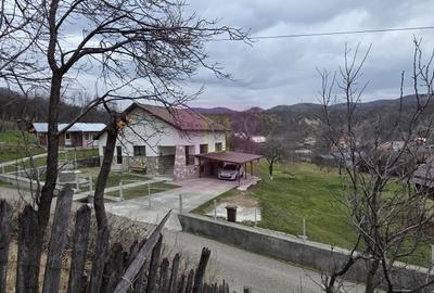 Teren de 800 mp, în Șotrile