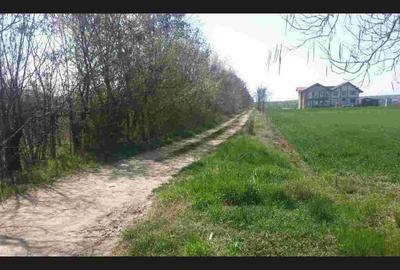 Teren intravilan de 5300 mp, în Teiș - 2