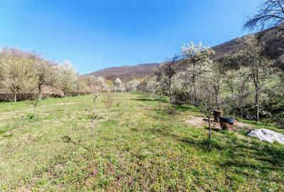 Casă cu 4 camere în Boiu - 7
