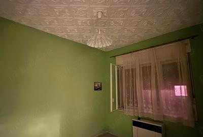 Casă cu 3 camere cu Teren 1500 Mp în Borș