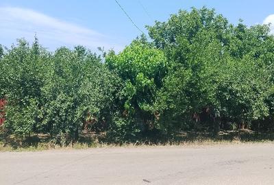 Casă individuală cu 4 camere cu Teren 2000 Mp în Izvoarele