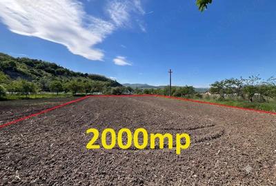 Teren de 1500 mp, în Bejan - 4