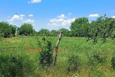 Teren de 1800 mp, în Fântâna Doamnei - 1