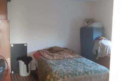 Casă cu 6 camere cu Teren 3200 Mp în Toporu - 3