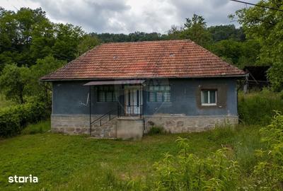 Casă cu 6 camere cu Teren 2143 Mp în Ribița - 19