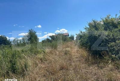 Teren de 700 mp, în Cetate