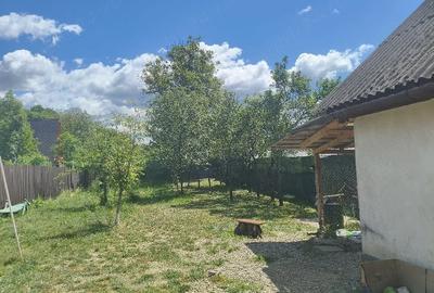 Casă cu Teren 750 Mp în Central - 3