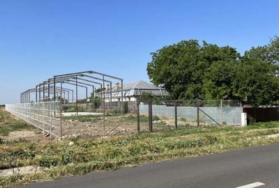 Teren intravilan de 2500 mp, în Mărtăcești - 6