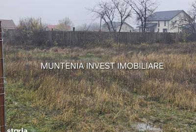 Teren de 935 mp, în Moșoaia - 4