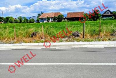 Teren intravilan de 10611 mp, în Brateș - 6