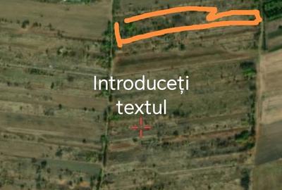 Teren de 2300 mp, în Central