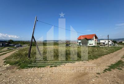 Teren Construcții intravilan de 689 mp, în Cetate - 1