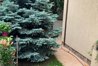 Apartament cu 3 camere decomandat, mobilat în Central - 4